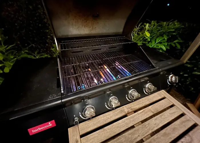 De Standing Plein Centre-ville 